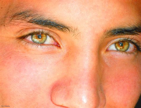 ojos color avellana-4
